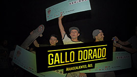 Gallo Dorado - Aguascalientes