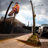 Alan Sabanero | Bean Plant| Miguel Ángel López Virgen | Guadalajara Jalisco