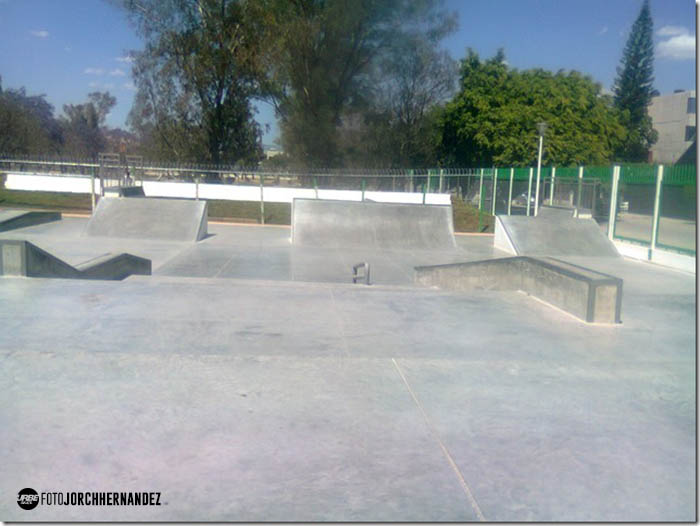 Skatepark Del Arbol